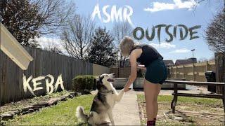 hanging outside on a spring day Lofi asmr  ~ playing fetch, sun bathing, personal attention  