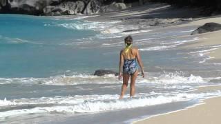 valley trunk bay beach virgin gorda