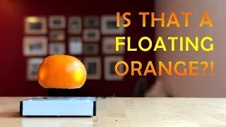 Floating Oranges & More! Magnetic Levitation Levitron