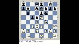 Polgar, Zsuzsa vs Schaffarth, Peter | Mendrisio Chess Open 1987, Switzerland