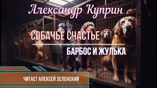 Александр  Куприн  "Собачье счастье",  "Барбос и Жулька"  читает Алексей Зеленский