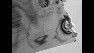 Real space dynamics of silicon cantilever (UEM)