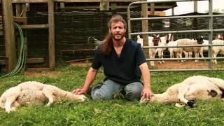 "Mercy Halal Islamic Slaughter Part 1"