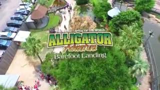 Alligator Adventure - MyrtleBeach.com