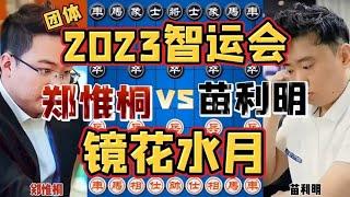 郑惟桐vs苗利明 看似合情合理的一招却是镜花水月 2023智运会