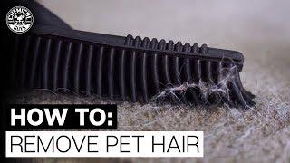 How To Remove Pet Hair From Fabric & Carpet! - Chemical Guys