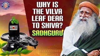 Why is the Vilva Leaf Dear to Shiva? | शिव को विल्व पत्र क्यों प्रिय है? | Devotional Facts