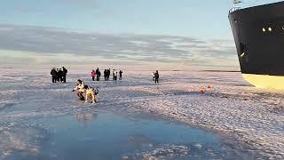 Walking on ice at the bay of Bothnia in northern Finland 