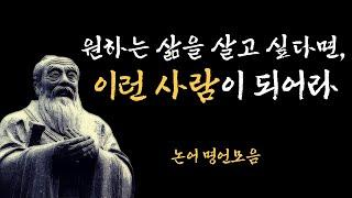 삶의 지혜에 대한 현실적인 인생조언ㅣ인생철학ㅣ짧은 논어 명언 모음ㅣ오디오북