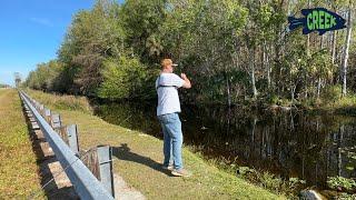 Simple Ultralight Bank Fishing (Florida!)