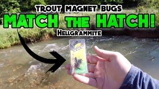 Trout Magnet BUGS Hellgrammite CHALLENGE! | MONSTER TROUT FISHING