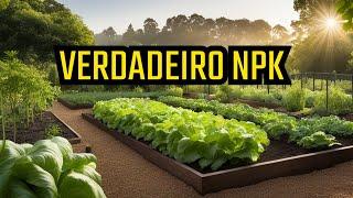 O VERDADEIRO NPK Caseiro: Fertilizante Orgânico DIY que Funciona!