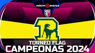 TORNEO NACIONAL FLAG FOOTBALL LFA 2024 | CAMPO 1