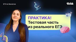 Практика! Тестовая часть из реального ЕГЭ.