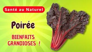 Pourquoi la poirée est-elle l'un des remèdes naturels les plus puissants pour la santé ?