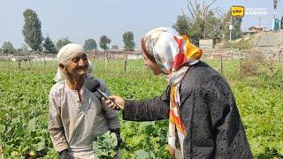 Kashmiri Haakh: A timeless green delight, savored from homes to grand feasts