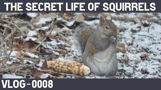 VLOG 0008 - The Secret Life of Squirrels