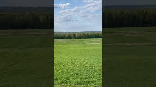 Деревня Ягодное Ленинградская область База-Лагерь ИТМО Заказник "Гряда Вярямянселькя
