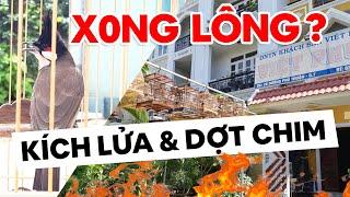 KÍCH CHÀO MÀO CĂNG LỬA SAU KHI "XONG LÔNG" 