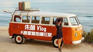 朱茵Vlog｜峇里島拍攝花絮