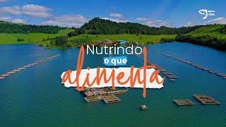 Alpha Fish: nutrindo o que alimenta