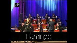 FLAMINGO(2008) Национальный концертный оркестр Беларуси п/у Михаила Финберга