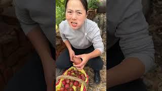 Beautiful Nature - Inspur Fresh Fruit wonderful video of Industry #9666