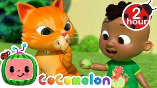 What Does Opposite Mean?  CoComelon - Cody Time Nursery Rhymes and Kids Songs | After School Club