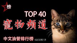 中文油管排行榜【宠物频道-Top 40】喜欢萌宠的朋友们，集合啦！本片既是排行榜，又是最疗愈的地方噢！