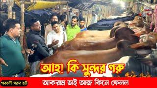 আহ কি সুন্দর গরু! কিভাবে আকরাম ভাই কিনে ফেলে! গাবতলী ২০২৪