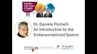 An Introduction to the Endocannabinoid System