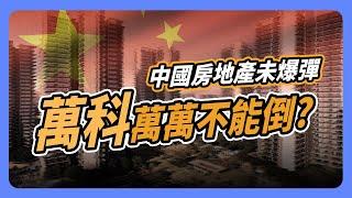 同為房地產巨頭 為何恆大遭到清算 「萬科」卻萬萬不能倒？｜#投資IN總經 EP35 #中國經濟 #房地產 #萬科