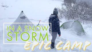 Backcountry Camping in a SNOW STORM w/3-season tent, cozy fire and cast-iron cooking