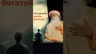 Единственное истинное богатство в жизни