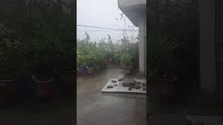 Heavy Rain at Rooftop #shorts #rain #youtubeshorts