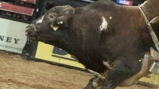 WRECK: Dakota Beck hit hard by South Point (PBR)