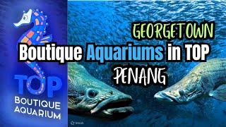 Boutique Aquariums in TOP Penang: A Tour of Underwater Wonders!