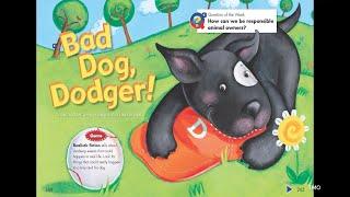 Bad Dog Dodger