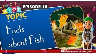 Facts about Fish - World of Kids Episode 18 | Madani Channel English