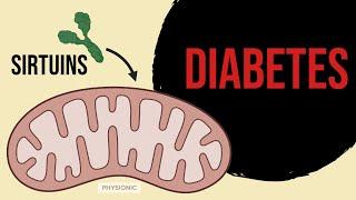 Sirtuins reduce Insulin Resistance and Mitochondrial Dysfunction