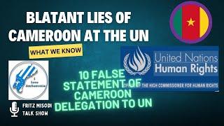 False Statements by Cameroon in United Nations