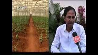 TRS leader K Chandrasekhar Rao doing wonders in his own farm field