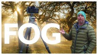 This is Why fog changes everything in photography!