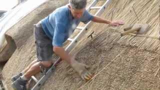 Norfolk Reed Thatching