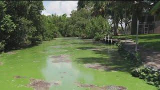 Signs of progress in Florida’s toxic water crisis