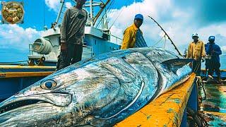 King Mackerel Fishing, how fishermen catch King Mackerel - Emison Newman