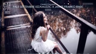 camille dalmais - pale septembre (izzamuzzic X james franko remix)