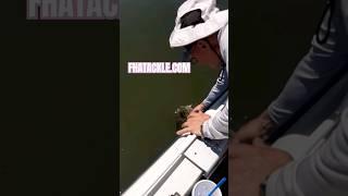 Slaying walleye on Fish Head Assassin Tackle #fishheadassassin #fishing #fishhead #fishingdaily