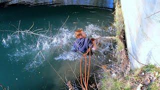 We should never have trusted this tree! Fishing with a magnet