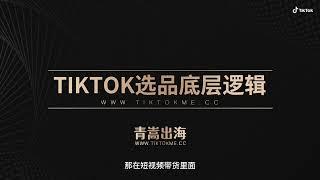 TIKTOK+独立站+广告投放 选品底层逻辑